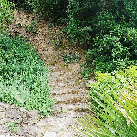 Les Acanthes Lauris 外观 照片